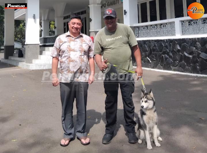 Viral! Aksi Oreo, Anjing Asal Cilawu yang Mahir Deteksi Bom dan Baris-Berbaris