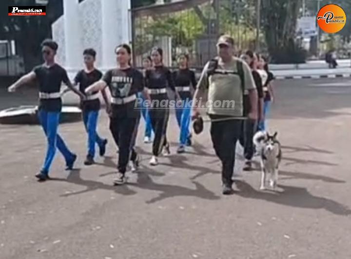 Viral! Aksi Oreo, Anjing Asal Cilawu yang Mahir Deteksi Bom dan Baris-Berbaris